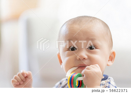 赤ちゃん 56622371