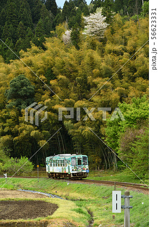 鉄道・JR西日本:越美北線(九頭竜線) 越前高田~一乗谷間 鉄道・JR西日本:越美北線(九頭竜線) 越前高田~一乗谷間 56623331