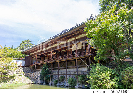 小倉城庭園　北九州市小倉北区城内1-2 56623606
