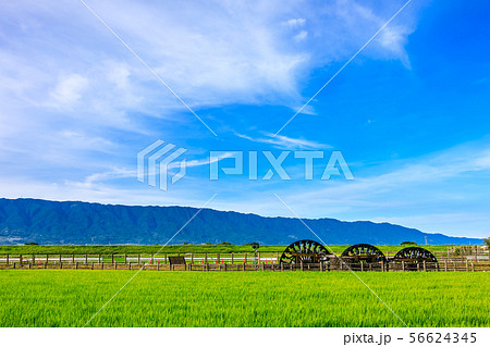 朝倉　三連水車大壁画　稼働中　朝風景　【福岡県朝倉市】 56624345