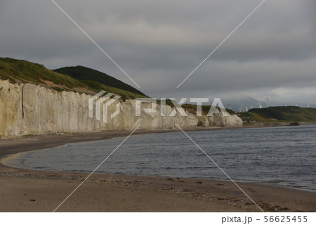 シラフラ 56625455