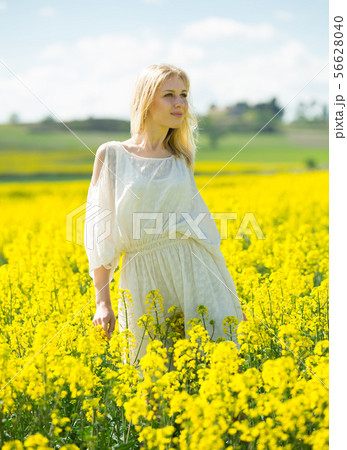 Girl posing in rape seed flowers field posing in white dress at sunny day Girl posing in rape seed flowers field posing in white dress at sunny day 56628040