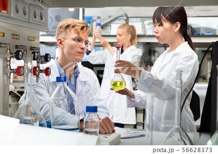 Portrait of group of European and Chinese scientists working together at biochemical laboratory Portrait of group of European and Chinese scientists working together at biochemical laboratory 56628373