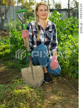 Woman hoeing in garden 56629320