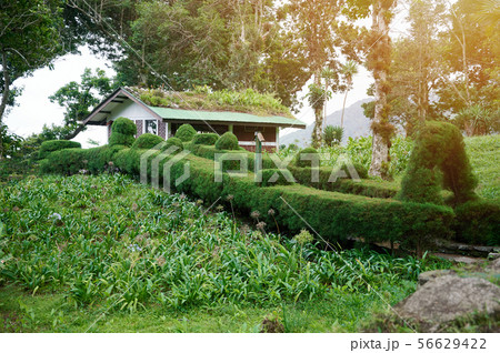 Ecolodge resort on sunny day 56629422