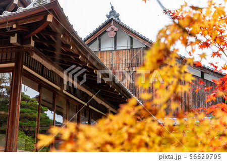 大書院と方丈 天授庵 大書院と方丈 天授庵 56629795