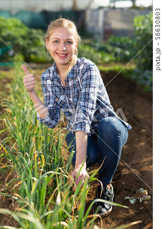 Woman caring for green vegetables 56630803