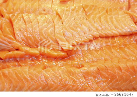 salmon sashimi on buffet line 56631647
