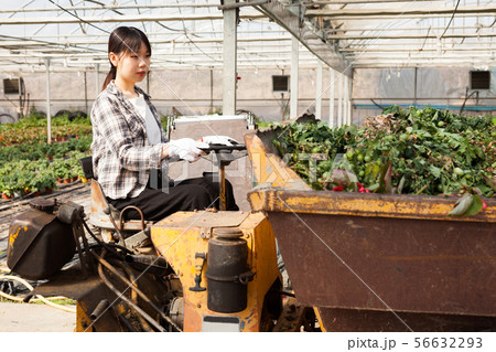 Woman farmer working on tractor in orangery Woman farmer working on tractor in orangery 56632293
