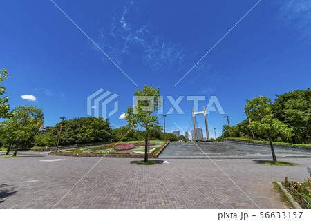 木場公園の風景 木場公園の風景 56633157