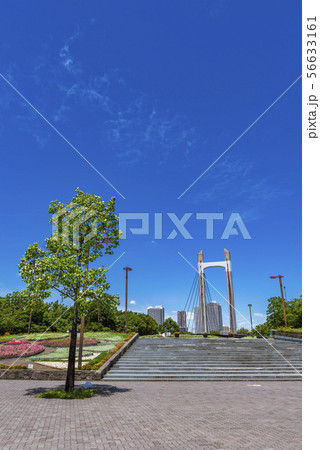 木場公園の風景 吊り橋と階段 56633161