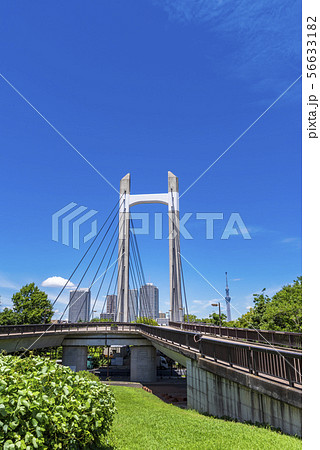 木場公園と木場公園大橋の風景 木場公園と木場公園大橋の風景 56633182