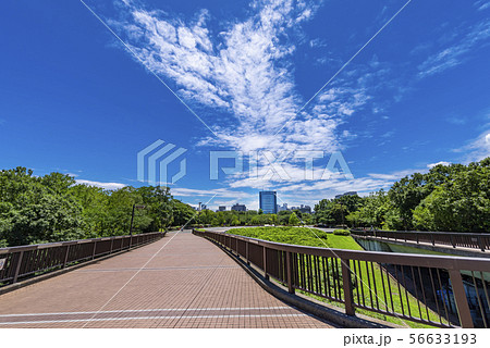 木場公園の風景 56633193