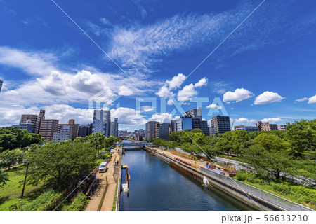 木場公園の風景 56633230