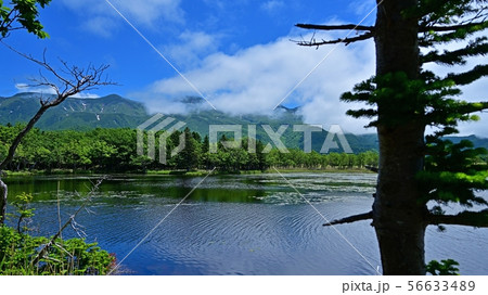 知床五湖で見た知床連山と湖のコラボ情景@知床、北海道 知床五湖で見た知床連山と湖のコラボ情景@知床、北海道 56633489