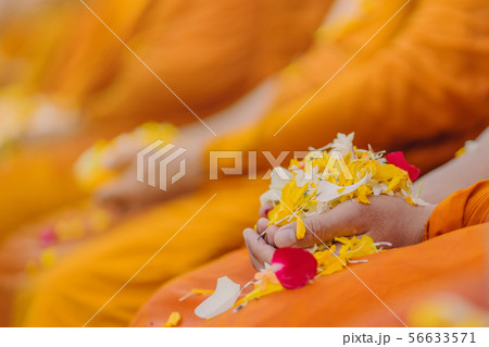People pouring water to Buddhist Monk  56633571