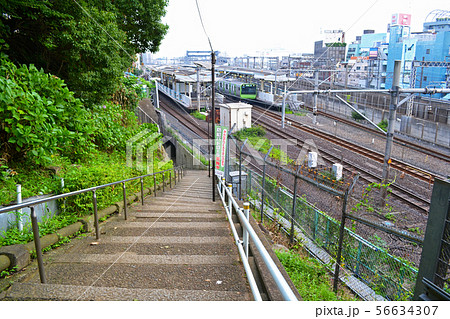 日暮里崖線 荒川区西日暮里駅横の地蔵坂の階段 日暮里崖線 荒川区西日暮里駅横の地蔵坂の階段 56634307