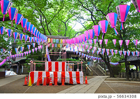 荒川区諏訪台にある諏訪神社のお祭りと盆踊りのやぐら 荒川区諏訪台にある諏訪神社のお祭りと盆踊りのやぐら 56634308