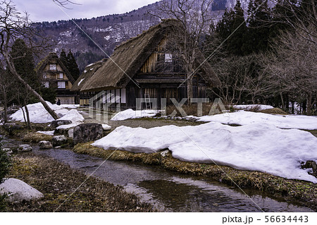 (岐阜県)白川郷・合掌造り民家園 雪解け (岐阜県)白川郷・合掌造り民家園 雪解け 56634443