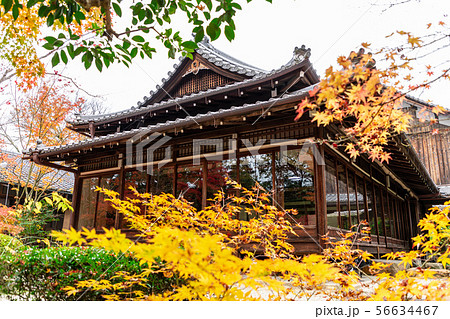 大書院 天授庵 大書院 天授庵 56634467