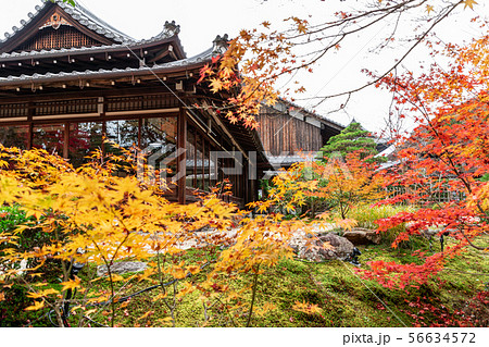 大書院 天授庵 56634572