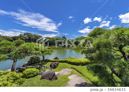 清澄庭園の風景 56634635
