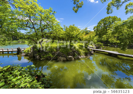 清澄庭園の風景 56635123