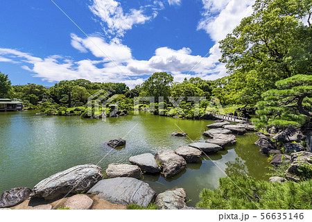 清澄庭園の風景 清澄庭園の風景 56635146