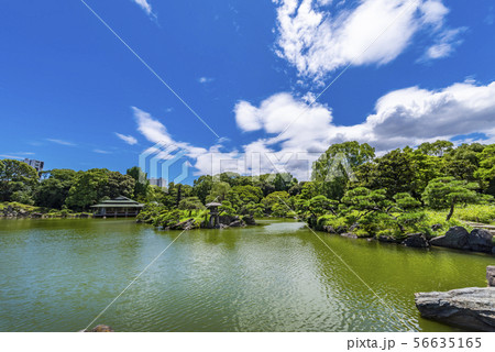 清澄庭園の風景 56635165