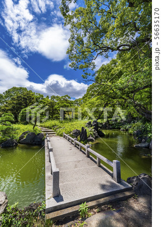 清澄庭園の風景 56635170