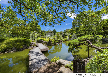 清澄庭園の石橋 56635180