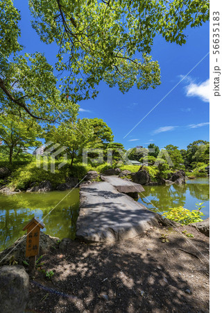 清澄庭園の石橋 56635183