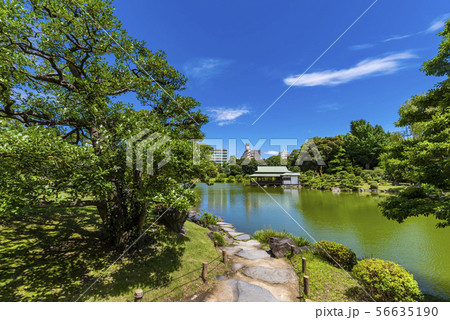清澄庭園の風景 56635190