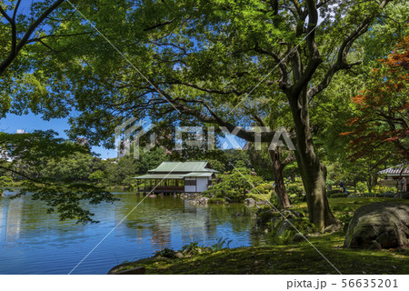 清澄庭園の風景 56635201