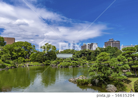 清澄庭園の風景 56635204