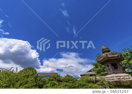 清澄庭園の風景 56635207