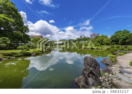 清澄庭園の風景 清澄庭園の風景 56635217