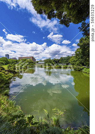 清澄庭園の風景 56635229