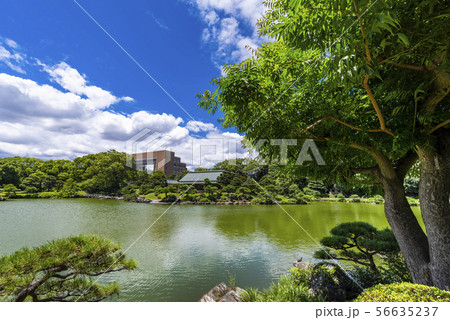 清澄庭園の風景 56635237