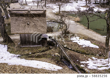 （岐阜県）白川郷・合掌造り民家園　旧山茂文四郎家唐臼小屋 56635256
