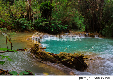 Tat Kuang Si Waterfalls Beautiful landscape 56635496