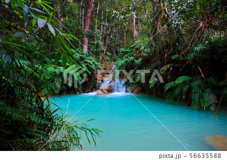 Tat Kuang Si Waterfalls Beautiful landscape Tat Kuang Si Waterfalls Beautiful landscape 56635588