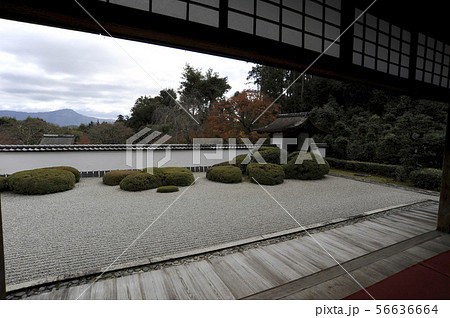 正伝寺 56636664