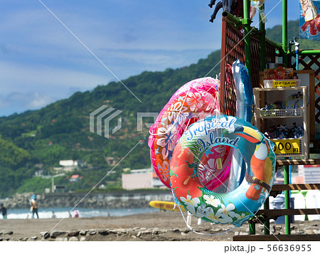 神奈川県 湯河原海水浴場 神奈川県 湯河原海水浴場 56636955