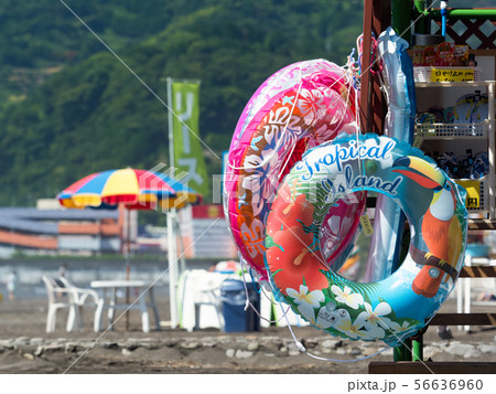 神奈川県　湯河原海水浴場 56636960