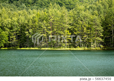 御射鹿池 56637450