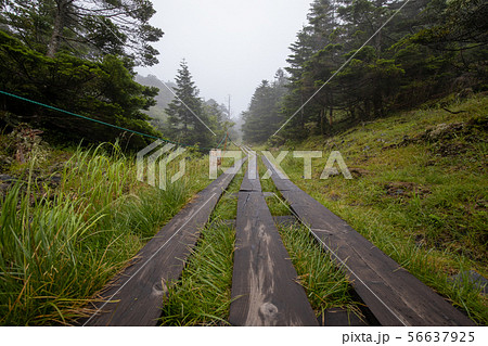 北八ヶ岳 坪庭 北八ヶ岳 坪庭 56637925