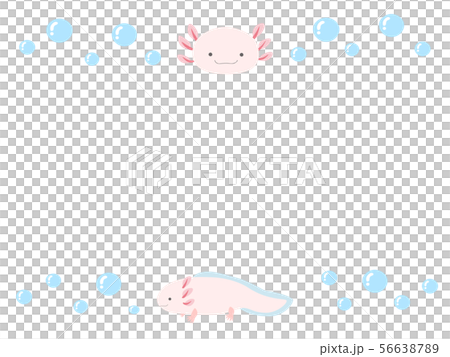 ウーパールーパーアクアライン 56638789