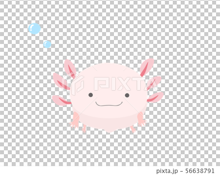 Wooparupa要看 56638791