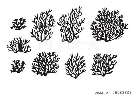 set of corals for underwater scene 56638838